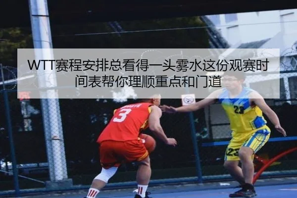 WTT赛程安排总看得一头雾水这份观赛时间表帮你理顺重点和门道